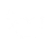 icon_bautizo