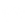icon_xv